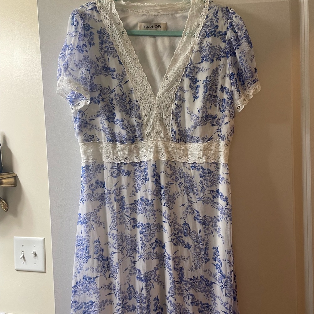 Taylor Blue and White Lace Maxi Dress - Picture 3 of 4